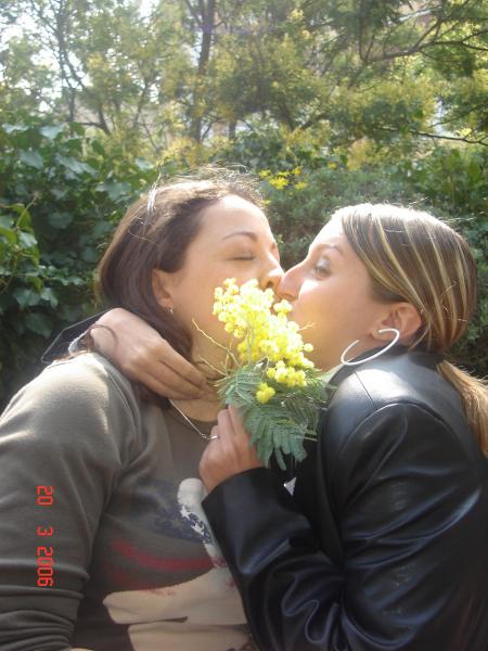 bisou derrière le mimosa