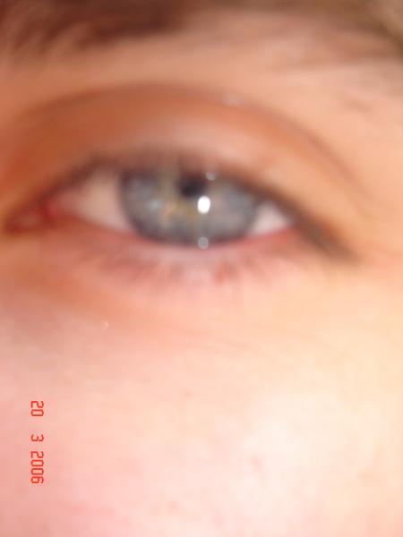 l'oeil de tibo